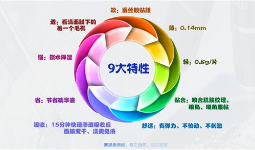 賽思美 以全方位技術支持賦能合作共贏，引領技術開發新篇章