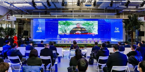 京津冀運(yùn)河文化旅游城市合作組織 以文化藝術(shù)交流為紐帶，共繪協(xié)同發(fā)展新畫(huà)卷