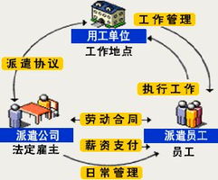 上海勞務派遣與企業(yè)管理咨詢服務 優(yōu)選伙伴與五險一金合規(guī)指南