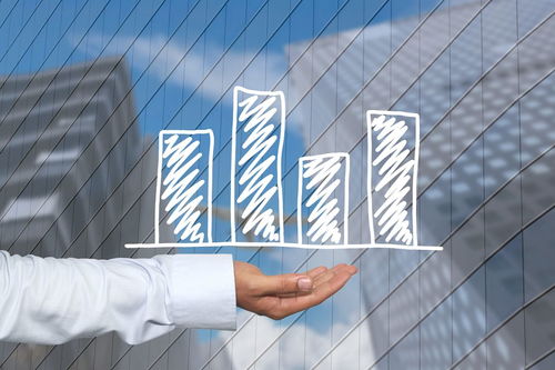 強化風險防線 企業(yè)管理中系統(tǒng)性風險管理的實踐策略